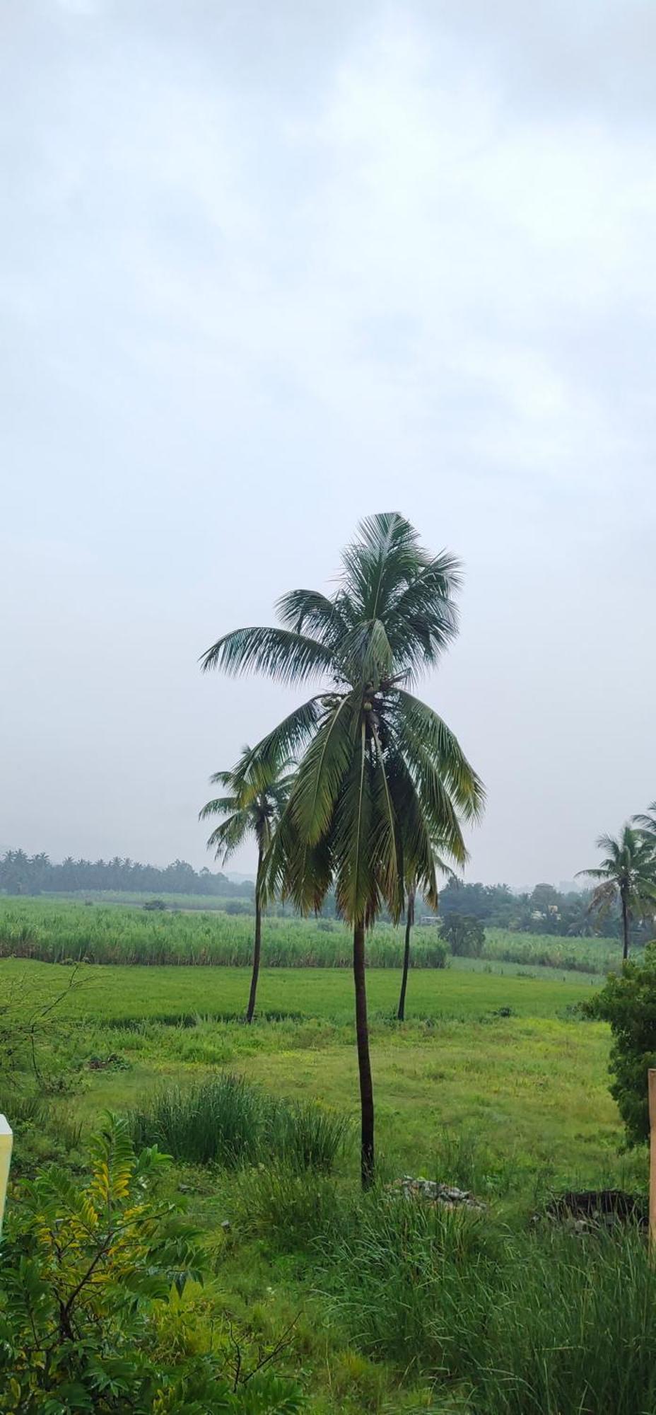 Raj Homestay Hampi Exteriör bild